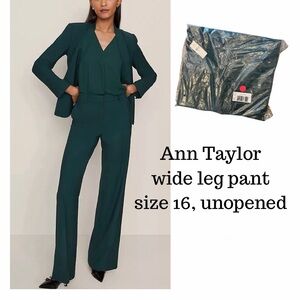 NWT Ann Taylor Wide Leg Pants in Emerald Green